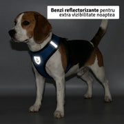 Set ham mesh respirabil pentru căței + lesă 1.5m, ajustare rapidă, albastru