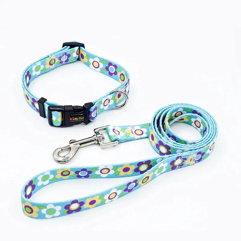 Set zgardă reglabilă cu lesă, pentru câini, cyan, ZC1022