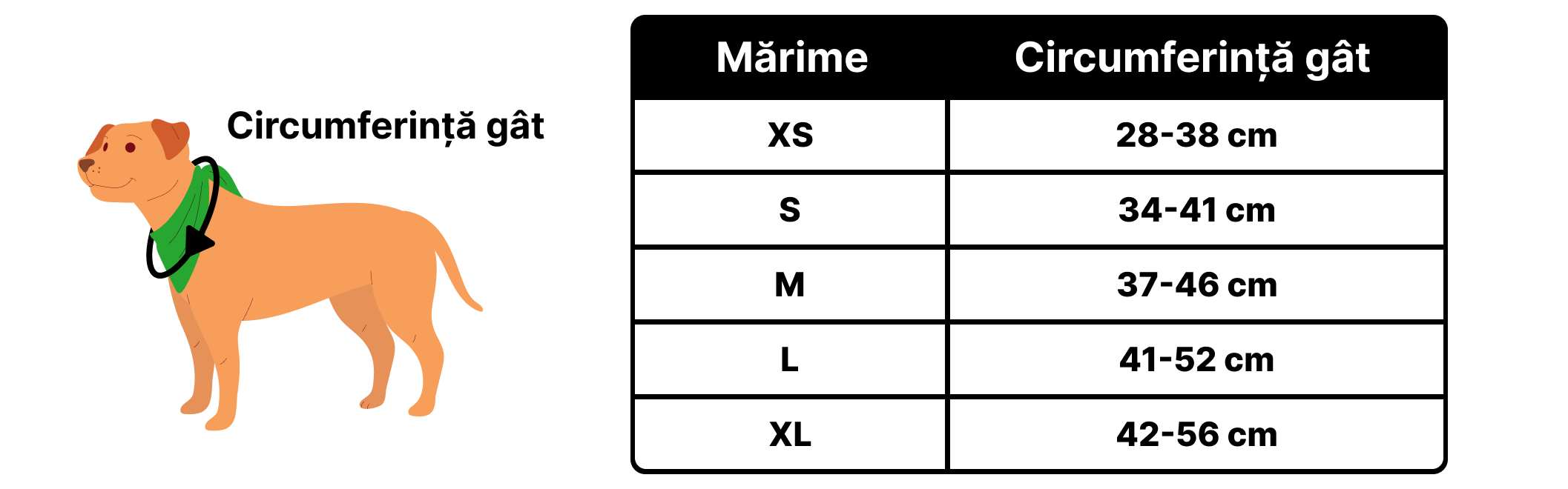 Petora.ro - Tabel marimi produse