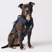 Ham tactic premium Petora pentru câini, ajustabil, reflectorizant, cu mâner ranforsat, bleumarin