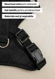 Set ham mesh respirabil pentru căței + lesă 1.5m, ajustare rapidă, negru