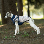 Petora Haină pentru căței albastră HH1011