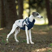 Petora Haină pentru căței albastră HH1011