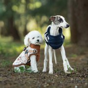 Petora Haină pentru căței albastră HH1011