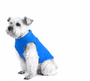 Petora Haină pentru căței albastră HH1012