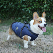 Petora Haină pentru căței bleumarin HH1010