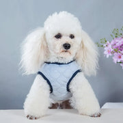 Petora Haină pentru căței cyan HH1007