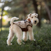 Petora Haină pentru căței maro HH1011