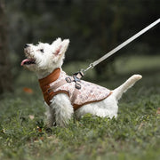 Petora Haină pentru căței maro HH1011