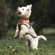 Petora Haină pentru căței maro HH1011