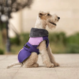 Petora Haină pentru căței mov HH1015