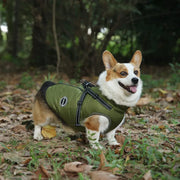 Petora Haină pentru căței verde HH1010