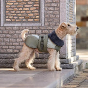 Petora M Haină pentru căței verde HH1015