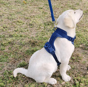 Petora Ham ajustabil pentru căței albastru HC1035