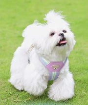 Petora Ham ajustabil pentru căței galben HC1027