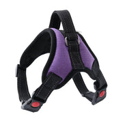 Petora Ham ajustabil pentru căței mov HC1017