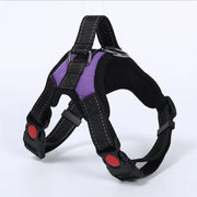 Petora Ham ajustabil pentru căței mov HC1017