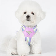 Petora Ham ajustabil pentru căței mov HC1027