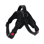 Petora Ham ajustabil pentru căței negru HC1017