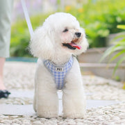 Petora Ham cu lesă ajustabil pentru căței albastru HC1019