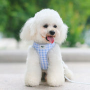 Petora Ham cu lesă ajustabil pentru căței albastru HC1019