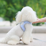 Petora Ham cu lesă ajustabil pentru căței albastru HC1019