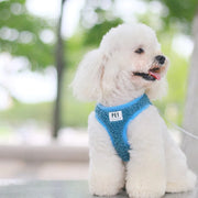 Petora Ham cu lesă ajustabil pentru căței albastru HC1023