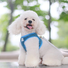 Ham ajustabil cu lesă pentru căței, albastru, HC1023