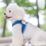 Petora Ham cu lesă ajustabil pentru căței albastru HC1023