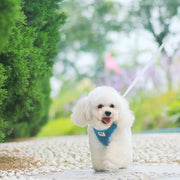 Petora Ham cu lesă ajustabil pentru căței albastru HC1023