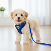 Petora Ham cu lesă ajustabil pentru căței albastru HC1024