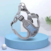 Petora Ham cu lesă ajustabil pentru căței albastru HC1025