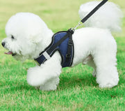 Petora Ham cu lesă ajustabil pentru căței bleumarin HC1021