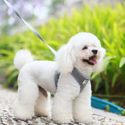 Petora Ham cu lesă ajustabil pentru căței gri HC1023