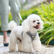 Petora Ham cu lesă ajustabil pentru căței gri HC1023