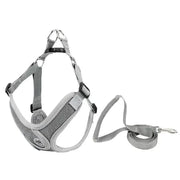 Petora Ham cu lesă ajustabil pentru căței gri HC1025