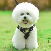 Petora Ham cu lesă ajustabil pentru căței negru HC1021