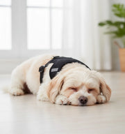 Ham ajustabil cu lesa pentru catei, negru, HC1024