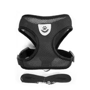 Set complet plimbare negru