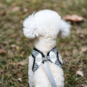 Petora Ham cu lesă ajustabil pentru căței negru HC1033