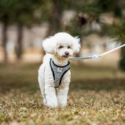 Petora Ham cu lesă ajustabil pentru căței negru HC1033