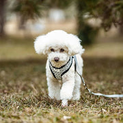 Petora Ham cu lesă ajustabil pentru căței negru HC1033