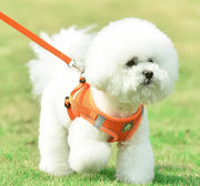 Petora Ham cu lesă ajustabil pentru căței portocaliu HC1021