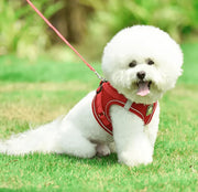 Petora Ham cu lesă ajustabil pentru căței roșu HC1021