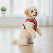 Ham ajustabil cu lesă pentru căței, roșu, HC1024