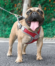 Petora Ham cu lesă ajustabil pentru căței roșu HC1025