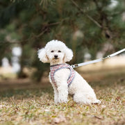 Petora Ham cu lesă ajustabil pentru căței roșu HC1033