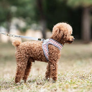 Petora Ham cu lesă ajustabil pentru căței roșu HC1033