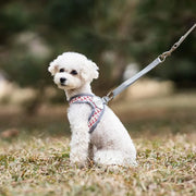 Petora Ham cu lesă ajustabil pentru căței roșu HC1033