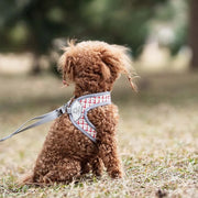 Petora Ham cu lesă ajustabil pentru căței roșu HC1033